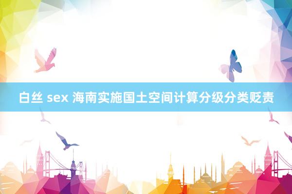 白丝 sex 海南实施国土空间计算分级分类贬责