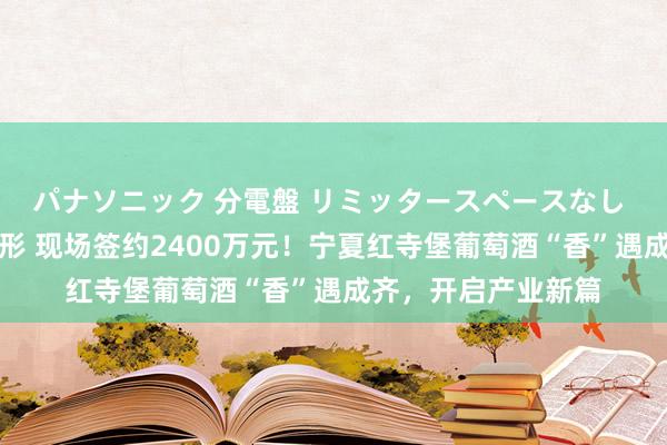 パナソニック 分電盤 リミッタースペースなし 露出・半埋込両用形 现场签约2400万元！宁夏红寺堡葡萄酒“香”遇成齐，开启产业新篇