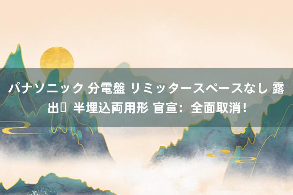 パナソニック 分電盤 リミッタースペースなし 露出・半埋込両用形 官宣：全面取消！