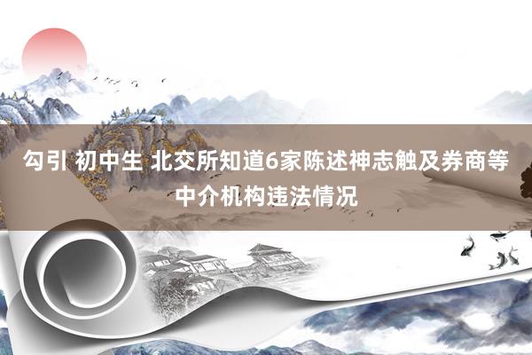 勾引 初中生 北交所知道6家陈述神志触及券商等中介机构违法情况