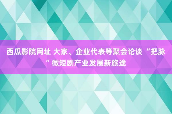 西瓜影院网址 大家、企业代表等聚会论谈 “把脉”微短剧产业发展新旅途