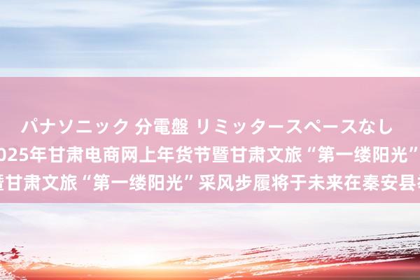 パナソニック 分電盤 リミッタースペースなし 露出・半埋込両用形 2025年甘肃电商网上年货节暨甘肃文旅“第一缕阳光”采风步履将于未来在秦安县举行