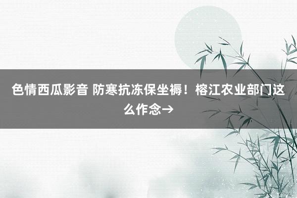 色情西瓜影音 防寒抗冻保坐褥！榕江农业部门这么作念→