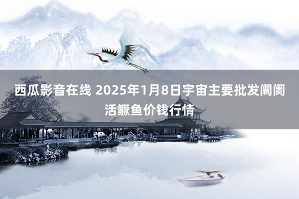 西瓜影音在线 2025年1月8日宇宙主要批发阛阓活鳜鱼价钱行情