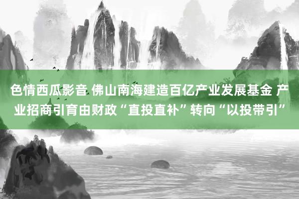 色情西瓜影音 佛山南海建造百亿产业发展基金 产业招商引育由财政“直投直补”转向“以投带引”