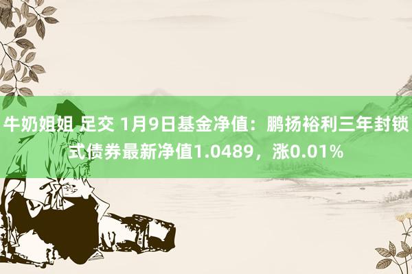 牛奶姐姐 足交 1月9日基金净值：鹏扬裕利三年封锁式债券最新净值1.0489，涨0.01%