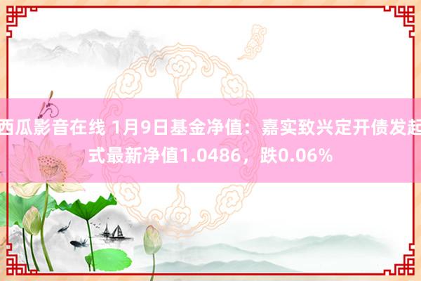 西瓜影音在线 1月9日基金净值：嘉实致兴定开债发起式最新净值1.0486，跌0.06%