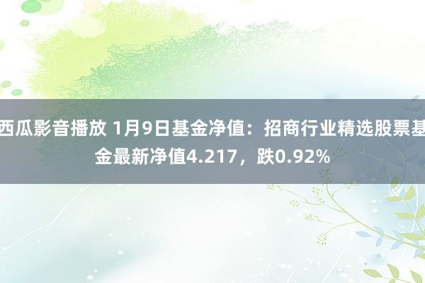 西瓜影音播放 1月9日基金净值：招商行业精选股票基金最新净值4.217，跌0.92%