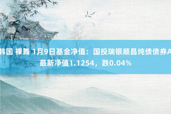 韩国 裸舞 1月9日基金净值：国投瑞银顺昌纯债债券A最新净值1.1254，跌0.04%