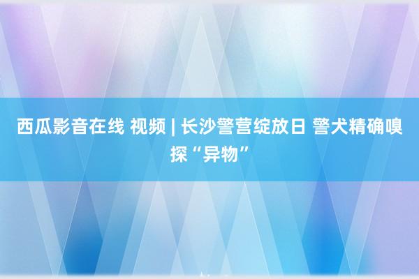 西瓜影音在线 视频 | 长沙警营绽放日 警犬精确嗅探“异物”