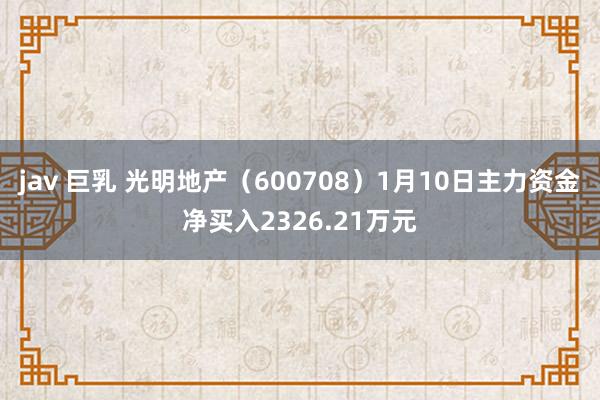jav 巨乳 光明地产（600708）1月10日主力资金净买入2326.21万元