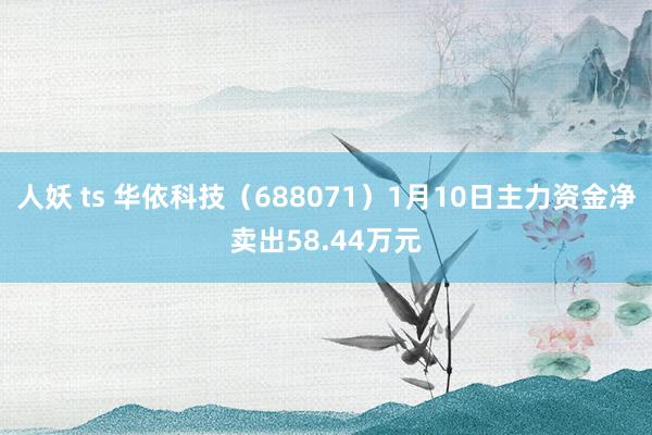 人妖 ts 华依科技（688071）1月10日主力资金净卖出58.44万元