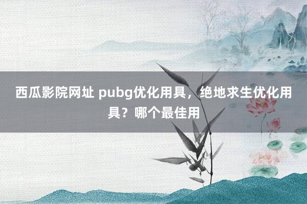 西瓜影院网址 pubg优化用具，绝地求生优化用具？哪个最佳用