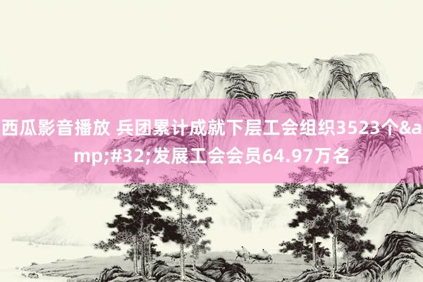 西瓜影音播放 兵团累计成就下层工会组织3523个&#32;发展工会会员64.97万名