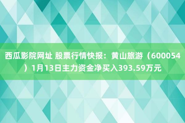 西瓜影院网址 股票行情快报：黄山旅游（600054）1月13日主力资金净买入393.59万元