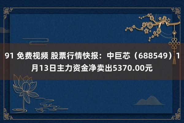 91 免费视频 股票行情快报：中巨芯（688549）1月13日主力资金净卖出5370.00元