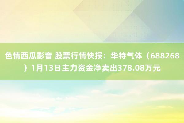 色情西瓜影音 股票行情快报：华特气体（688268）1月13日主力资金净卖出378.08万元