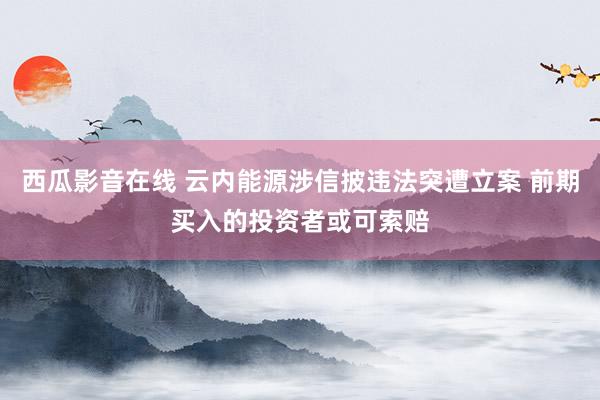 西瓜影音在线 云内能源涉信披违法突遭立案 前期买入的投资者或可索赔