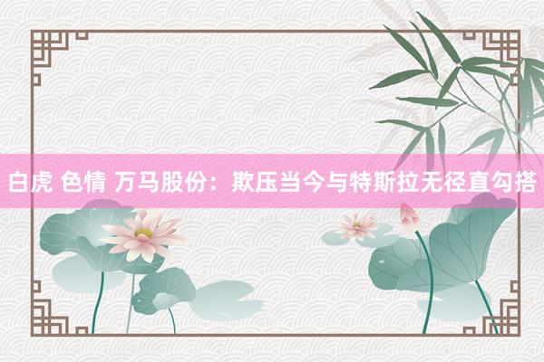 白虎 色情 万马股份：欺压当今与特斯拉无径直勾搭