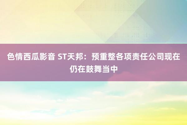 色情西瓜影音 ST天邦：预重整各项责任公司现在仍在鼓舞当中