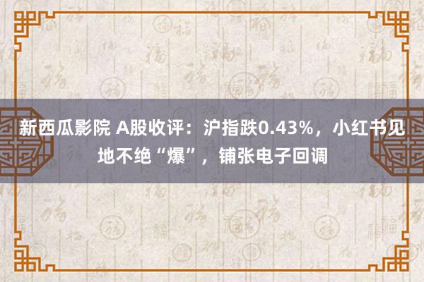 新西瓜影院 A股收评：沪指跌0.43%，小红书见地不绝“爆”，铺张电子回调
