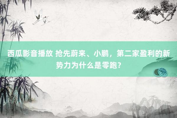 西瓜影音播放 抢先蔚来、小鹏，第二家盈利的新势力为什么是零跑？