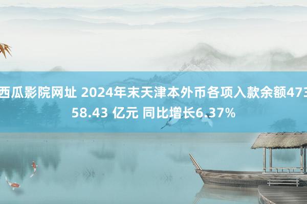 西瓜影院网址 2024年末天津本外币各项入款余额47358.43 亿元 同比增长6.37%