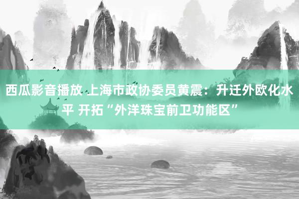 西瓜影音播放 上海市政协委员黄震：升迁外欧化水平 开拓“外洋珠宝前卫功能区”