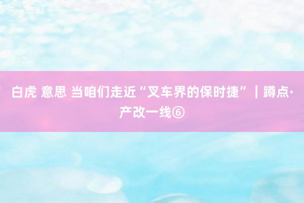 白虎 意思 当咱们走近“叉车界的保时捷”｜蹲点·产改一线⑥