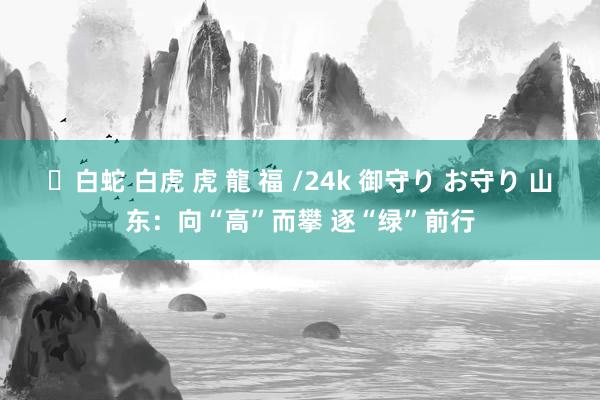 ✨白蛇 白虎 虎 龍 福 /24k 御守り お守り 山东：向“高”而攀 逐“绿”前行