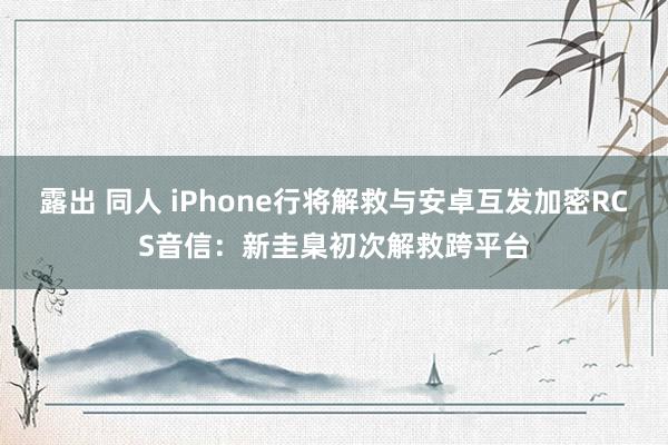 露出 同人 iPhone行将解救与安卓互发加密RCS音信：新圭臬初次解救跨平台
