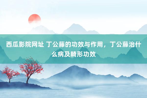 西瓜影院网址 丁公藤的功效与作用，丁公藤治什么病及畸形功效