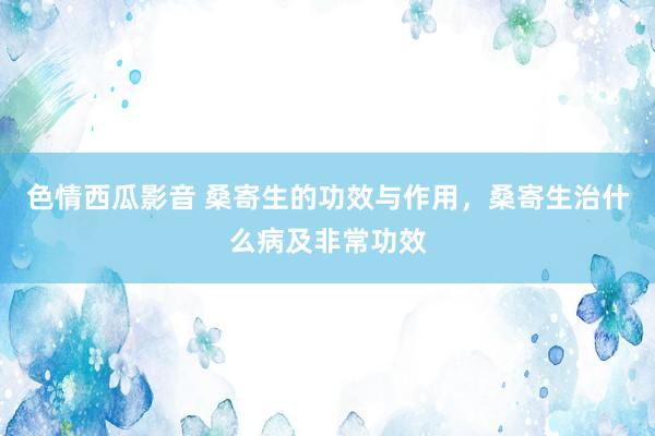 色情西瓜影音 桑寄生的功效与作用，桑寄生治什么病及非常功效