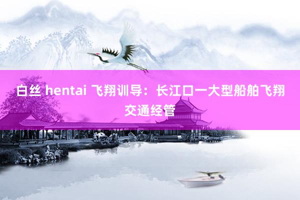 白丝 hentai 飞翔训导：长江口一大型船舶飞翔交通经管