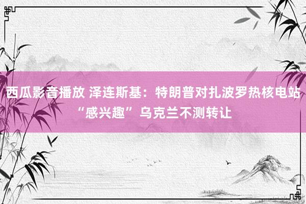 西瓜影音播放 泽连斯基：特朗普对扎波罗热核电站“感兴趣” 乌克兰不测转让
