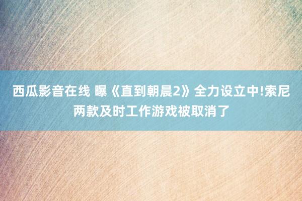 西瓜影音在线 曝《直到朝晨2》全力设立中!索尼两款及时工作游戏被取消了