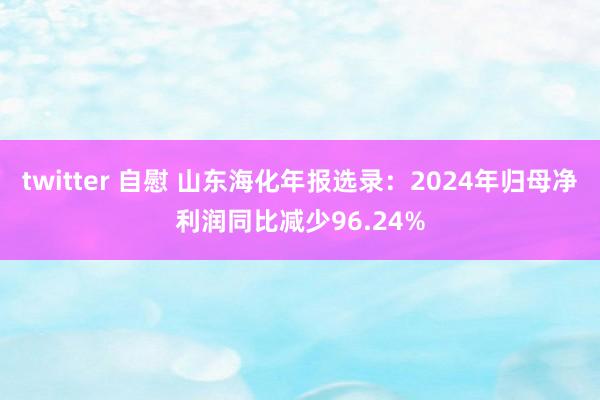 twitter 自慰 山东海化年报选录：2024年归母净利润同比减少96.24%