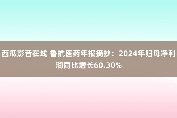 西瓜影音在线 鲁抗医药年报摘抄：2024年归母净利润同比增长60.30%