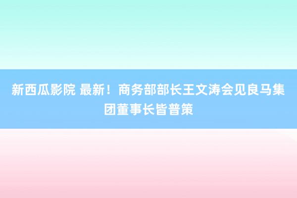 新西瓜影院 最新！商务部部长王文涛会见良马集团董事长皆普策