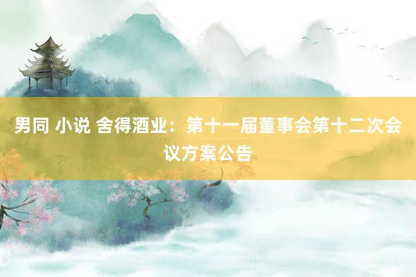 男同 小说 舍得酒业：第十一届董事会第十二次会议方案公告