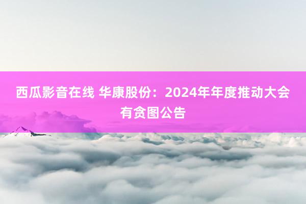 西瓜影音在线 华康股份：2024年年度推动大会有贪图公告