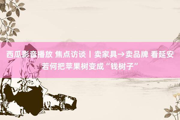 西瓜影音播放 焦点访谈丨卖家具→卖品牌 看延安若何把苹果树变成“钱树子”