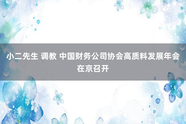 小二先生 调教 中国财务公司协会高质料发展年会在京召开