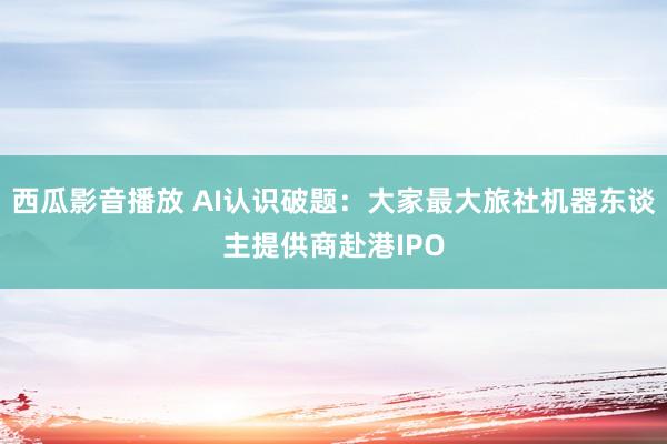 西瓜影音播放 AI认识破题：大家最大旅社机器东谈主提供商赴港IPO