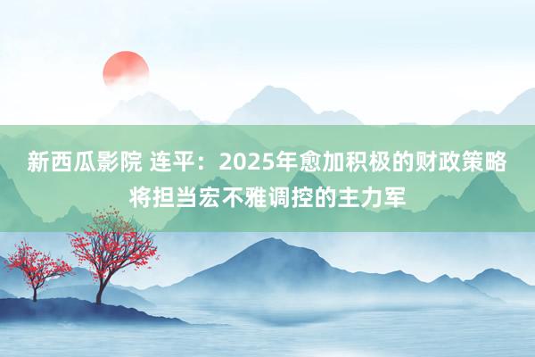 新西瓜影院 连平：2025年愈加积极的财政策略将担当宏不雅调控的主力军