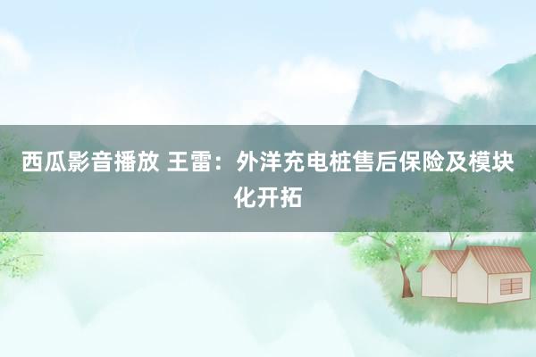 西瓜影音播放 王雷：外洋充电桩售后保险及模块化开拓