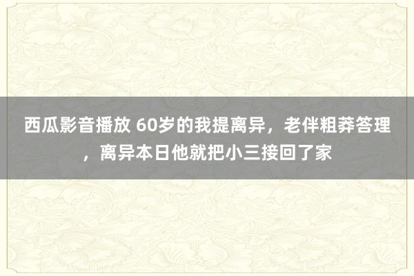 西瓜影音播放 60岁的我提离异，老伴粗莽答理，离异本日他就把小三接回了家