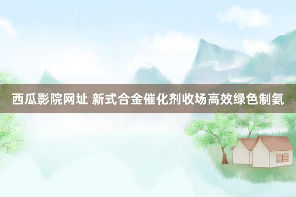 西瓜影院网址 新式合金催化剂收场高效绿色制氨