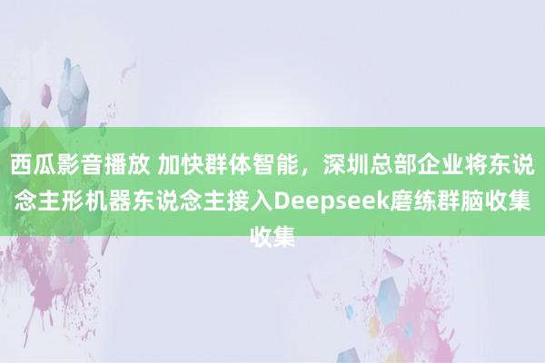 西瓜影音播放 加快群体智能，深圳总部企业将东说念主形机器东说念主接入Deepseek磨练群脑收集