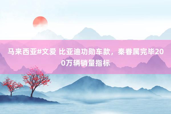马来西亚#文爱 比亚迪功勋车款，秦眷属完毕200万辆销量指标
